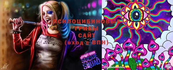а пвп мука Аркадак