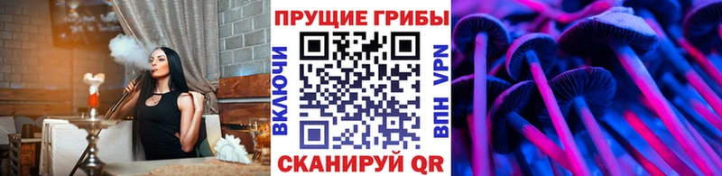 ссылка на мегу как войти  Райчихинск  Псилоцибиновые грибы Cubensis 